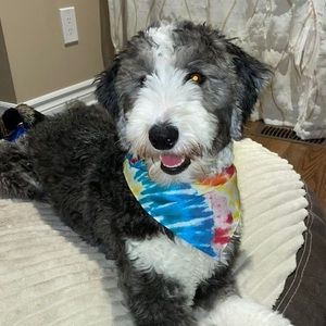 Meet your Posher, Jenn